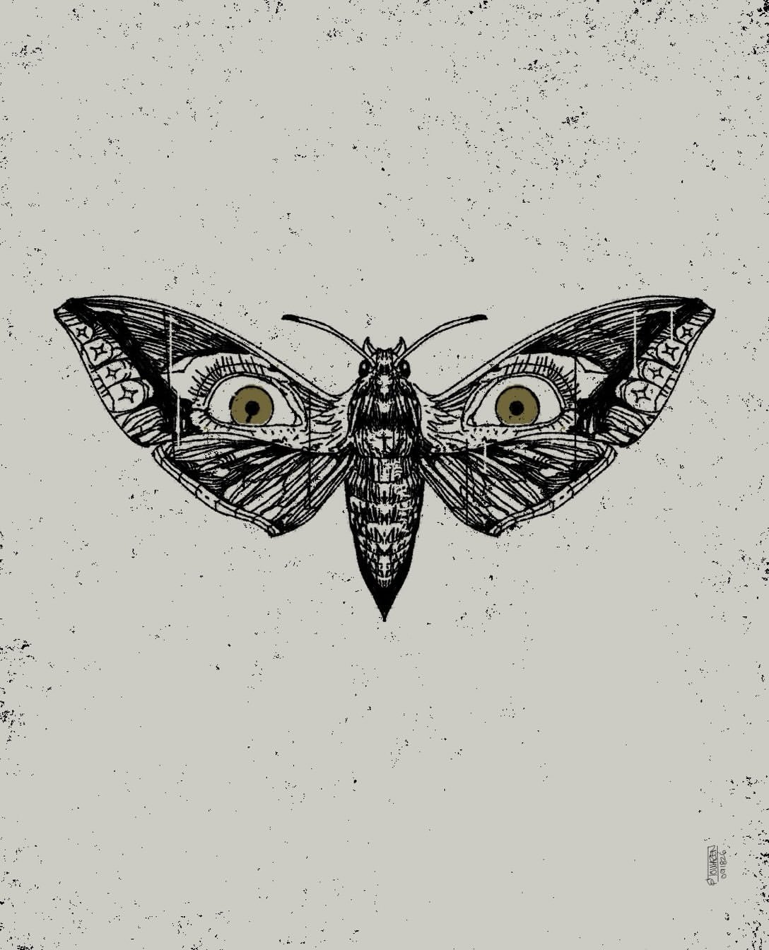 Illustration of a moth with two human looking eyes on its wings.