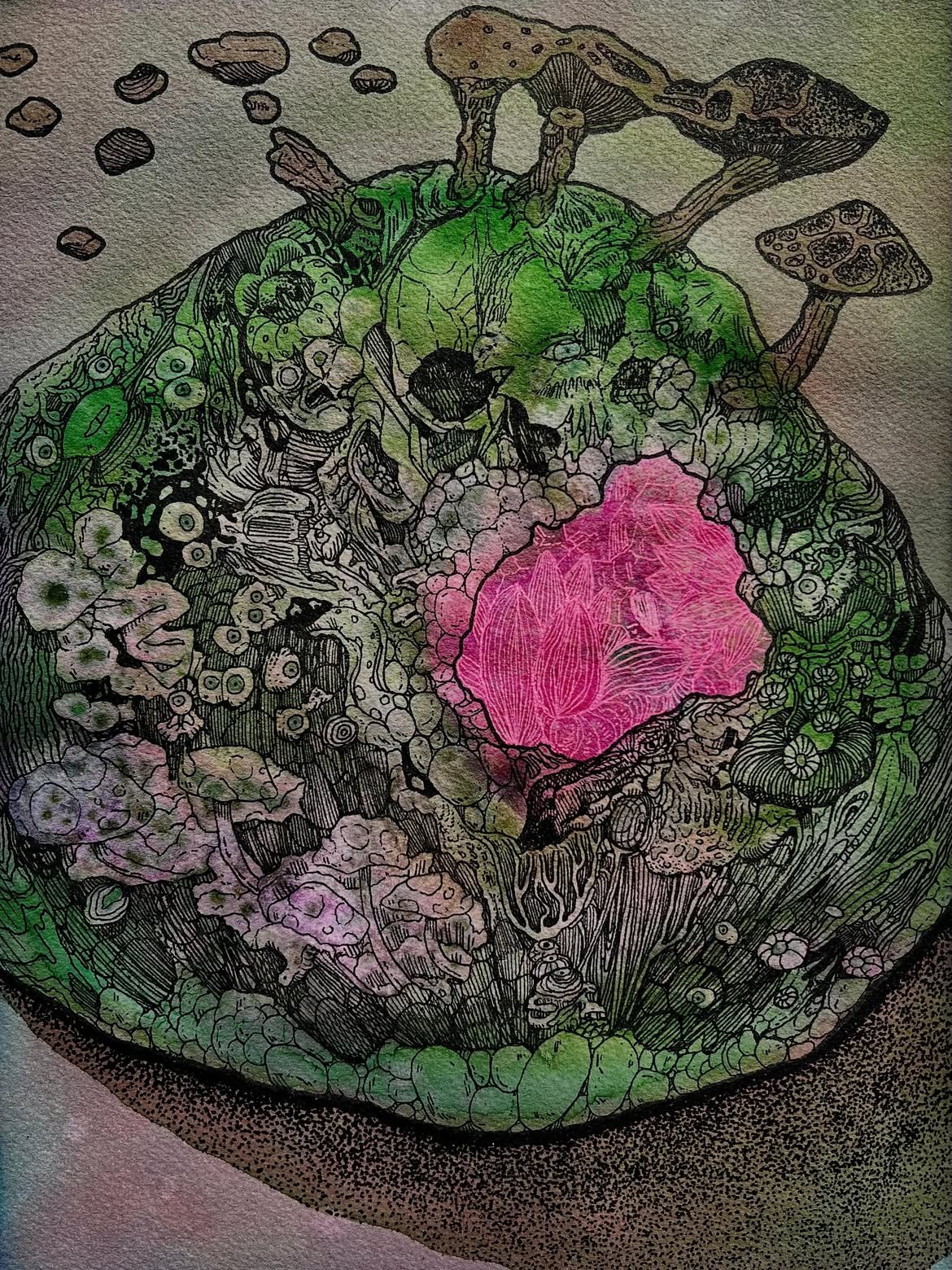abstract ink illustration with watercolor, depicting mushrooms and other organic inspired forms.