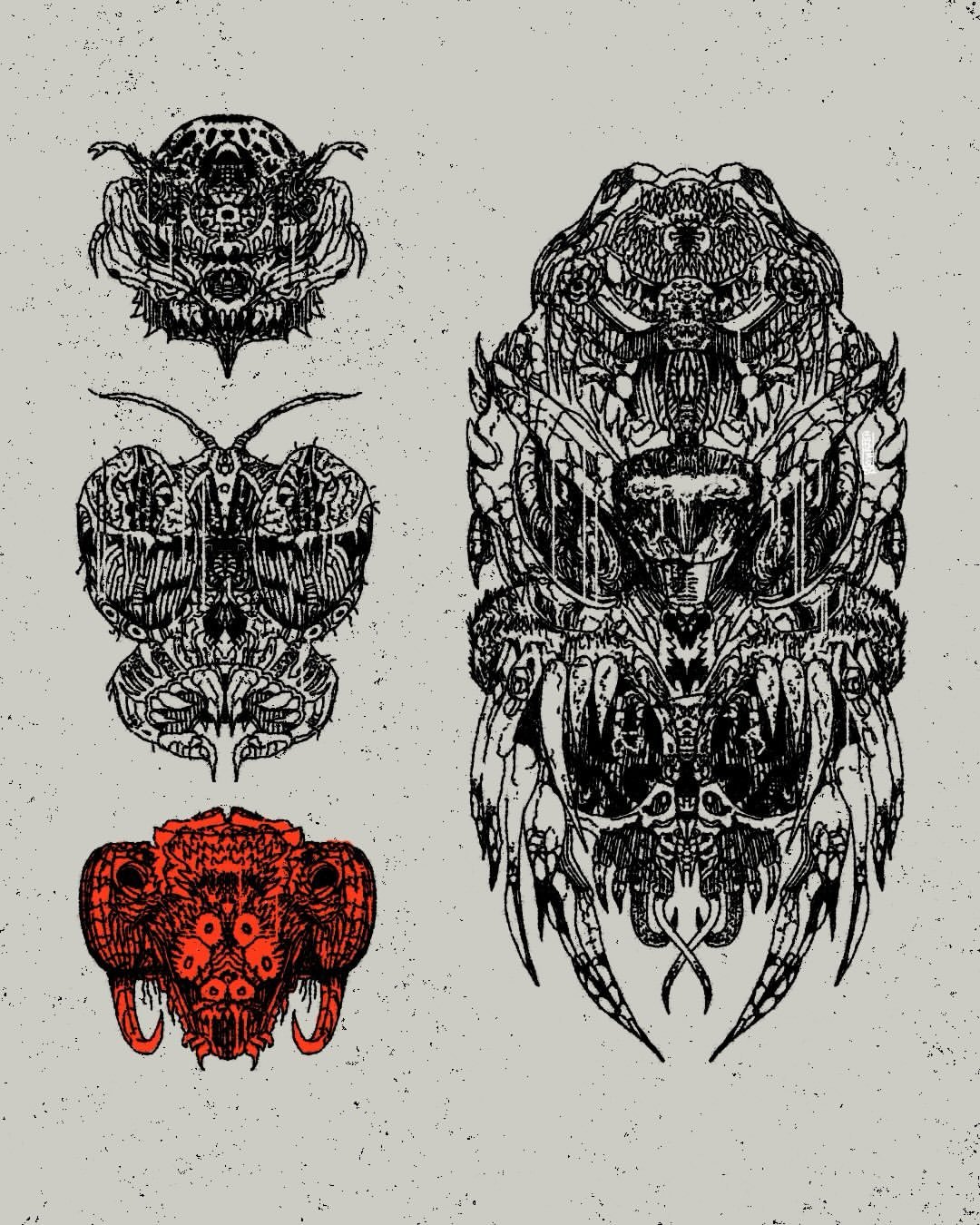 an illustration of four fantastical insect heads.